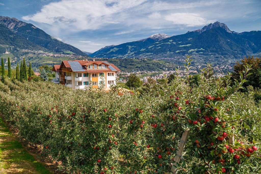 Landhaus Hotel Kristall in Marling, Südtirol mit Hund