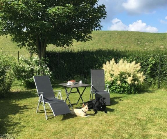 Urlaub mit Hund in Schleswig Holstein
