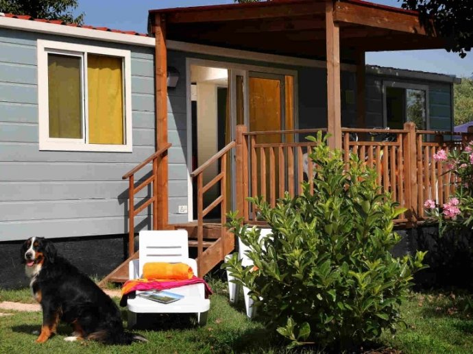 Mein Urlaub mit Hund Ferienwohnungen Ferienhäuser Hotels Camping